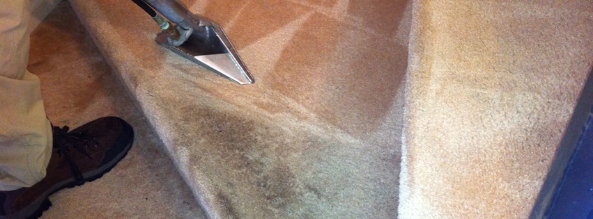 CLEANING YOUR CARPETS