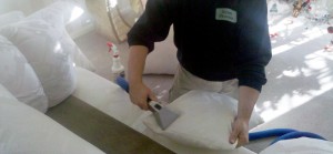 Commercial and Residential Upholstery Cleaning