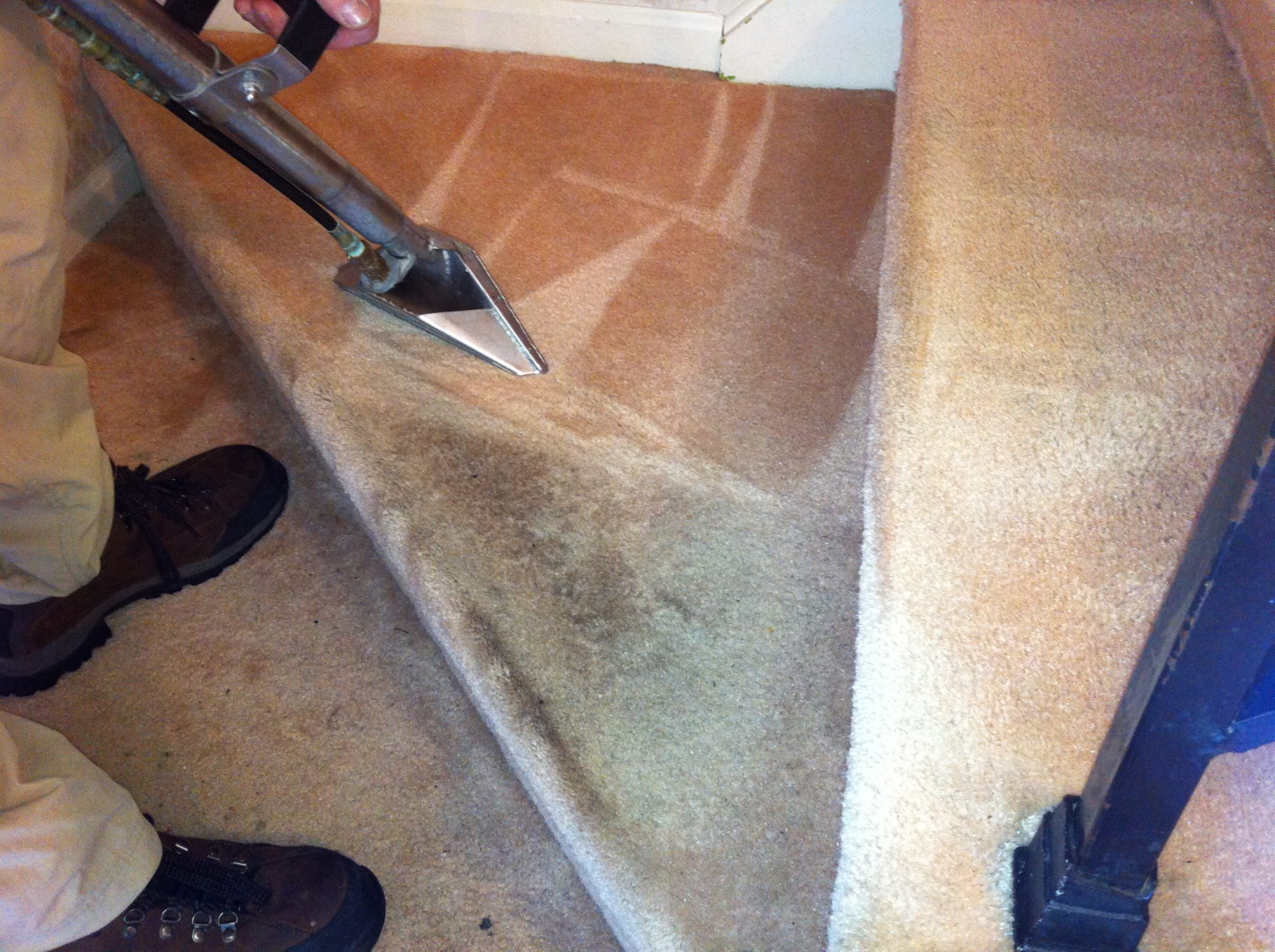 Most Trusted, Highest Rated, Family Owned Carpet Cleaning Service