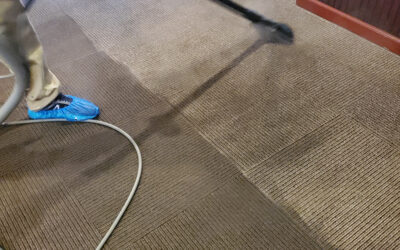 Top 10 reasons you should hire an carpet cleaning serviceop 10 reasons you should hire an carpet cleaning service