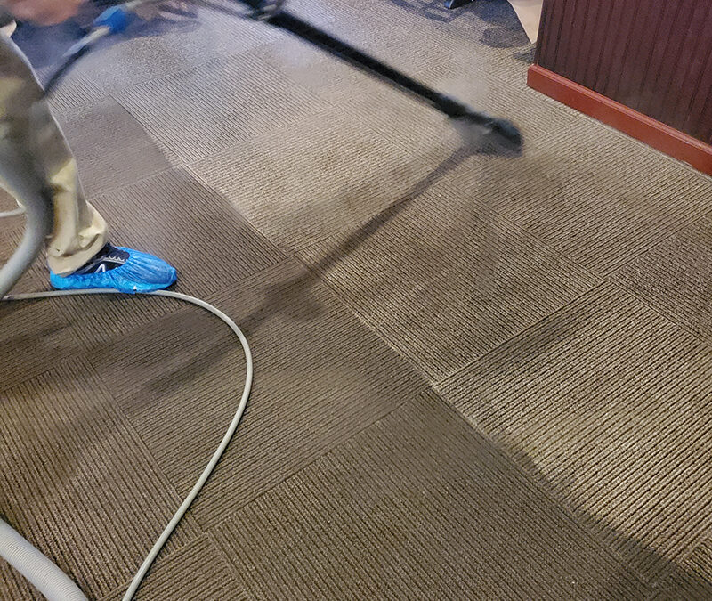 Top 10 reasons you should hire an carpet cleaning serviceop 10 reasons you should hire an carpet cleaning service