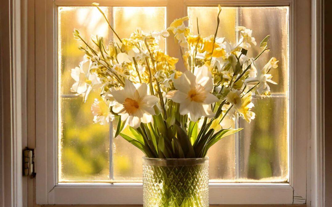 Spring Cleaning Special: A Fresh Start for Your Carpets