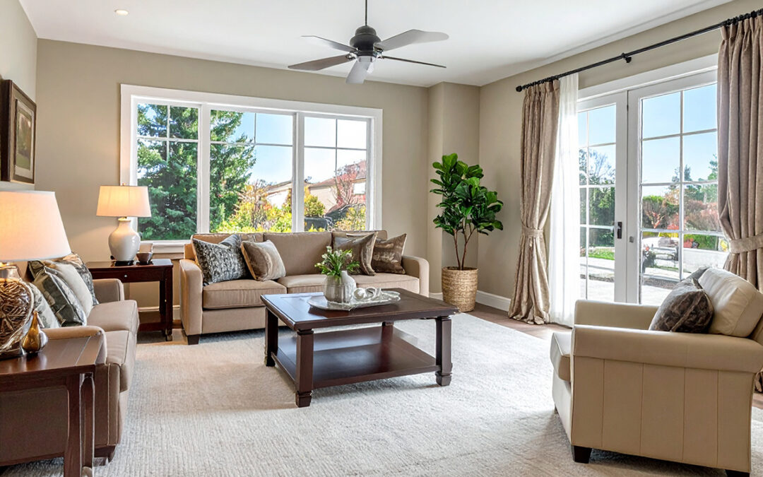How Often Should You Clean Your Carpets, Rugs, and Upholstery? A Jersey Shore Homeowner’s Guide