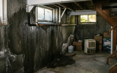 July Humidity: Why Mold Grows Faster in Monmouth County — And How Steam Cleaning Stops It