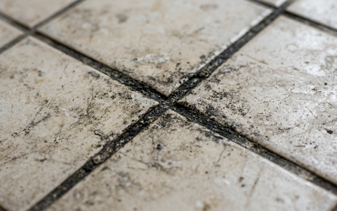 Why Steam Cleaning Is the #1 Way to Restore Tile & Grout in Your NJ Home